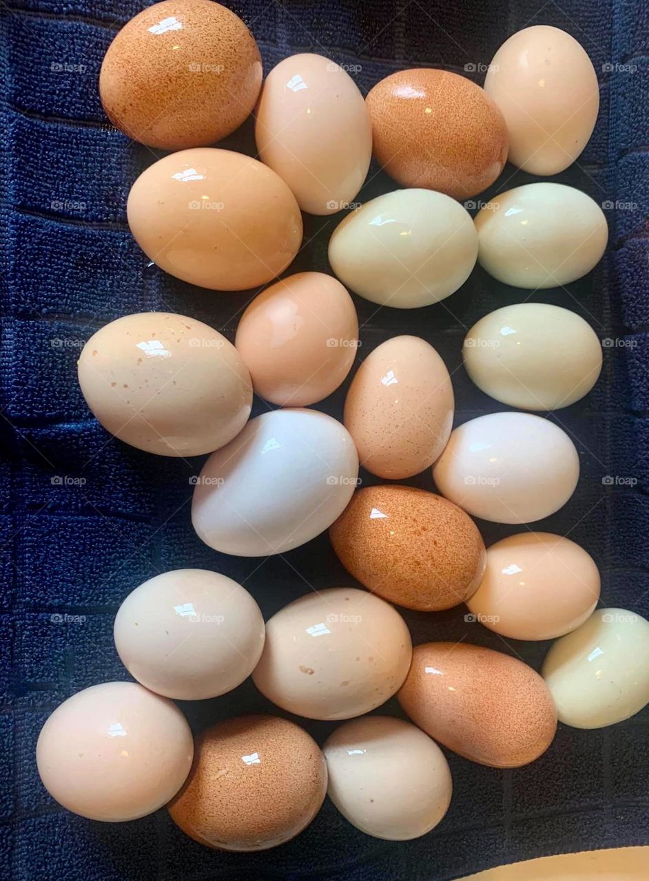 Pastel eggs