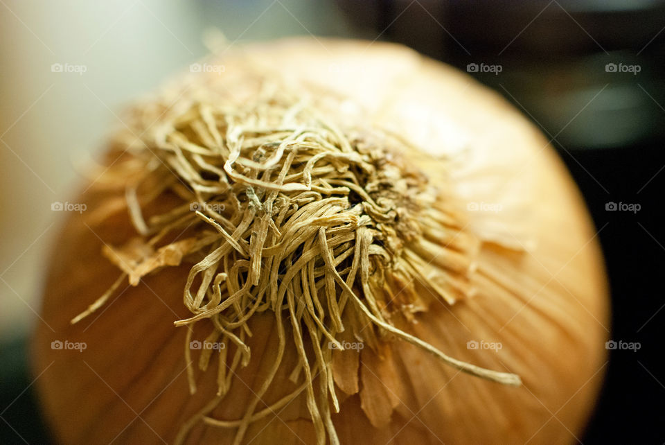 White Onion Roots