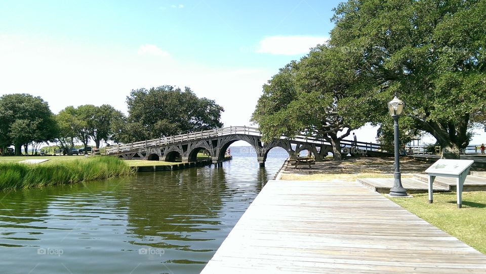 Bridge, Tree, Water, River, Park