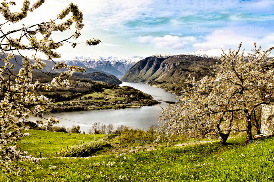 Springtime in the fjords. 