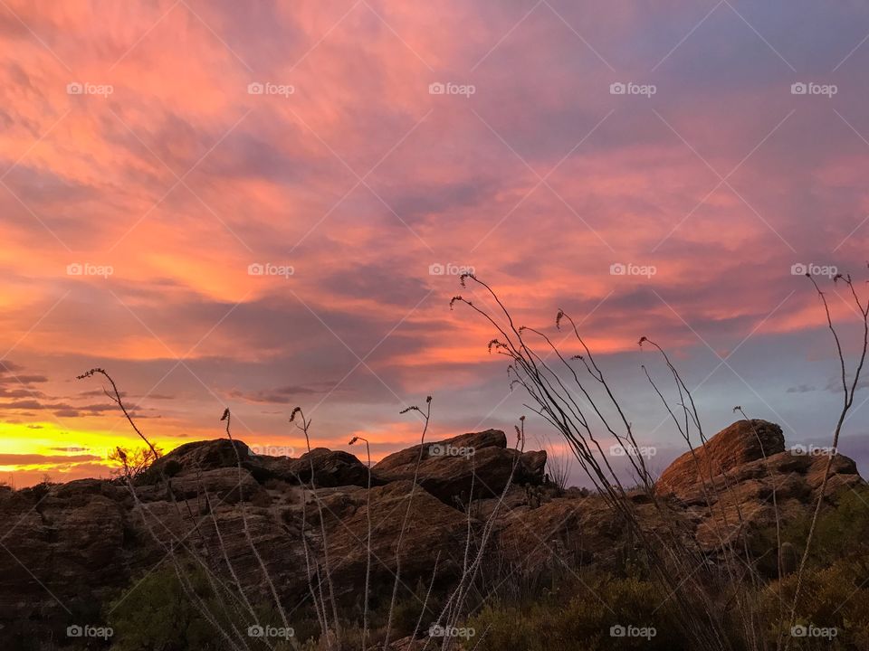 Desert Landscape - Sunset 