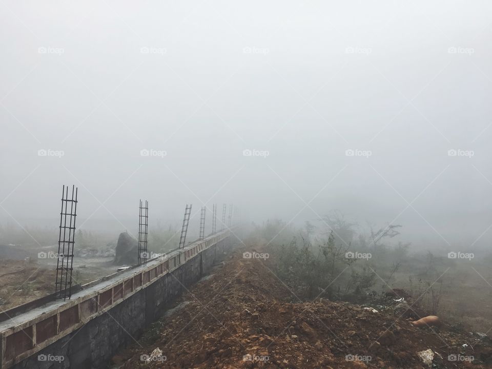 Foggy morning