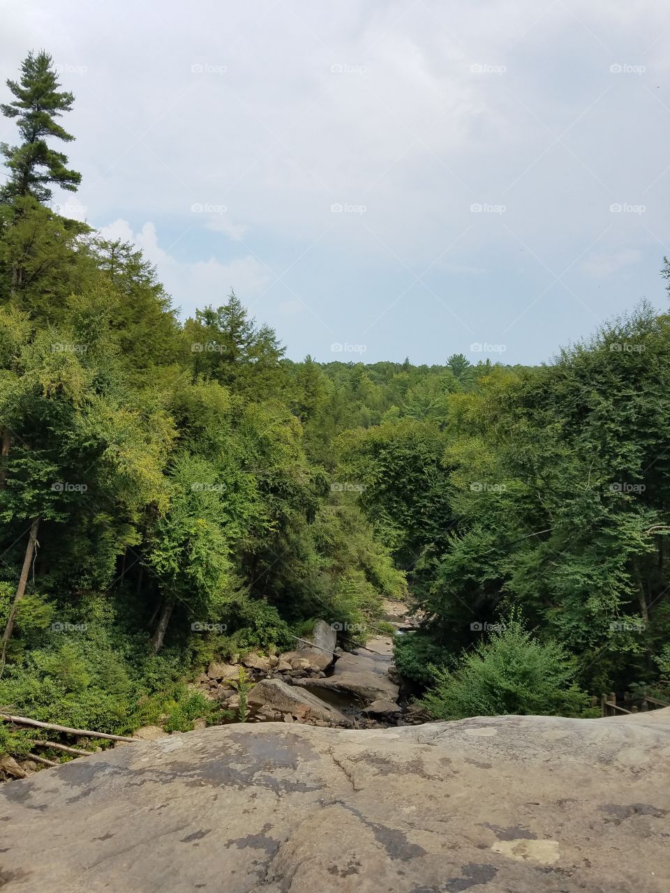 looking down on top of Muddy Creek Falls
