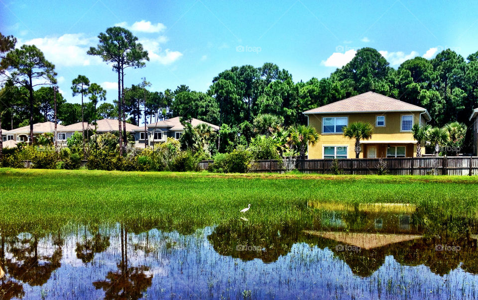 nature reflection iphone by dustinrogers