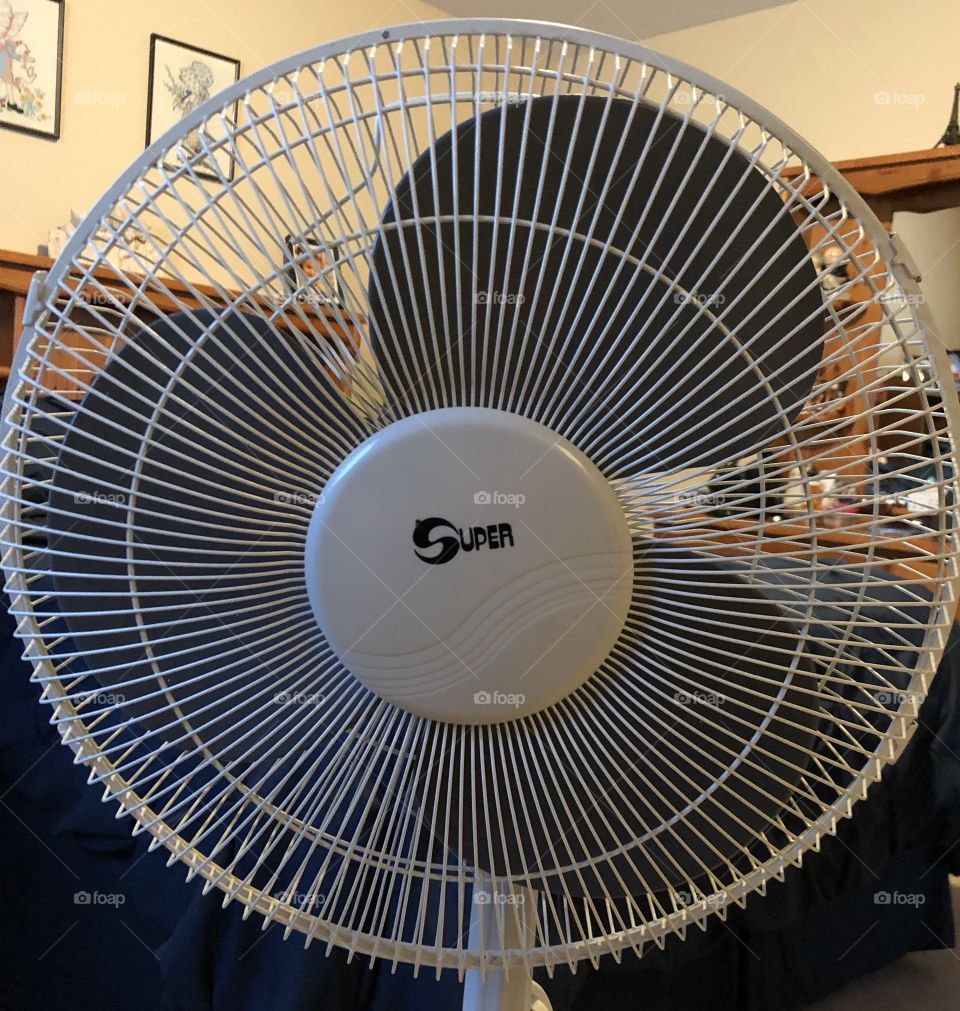 Electric Fan