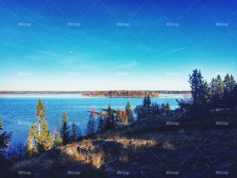 Water, Tree, Lake, Landscape, No Person