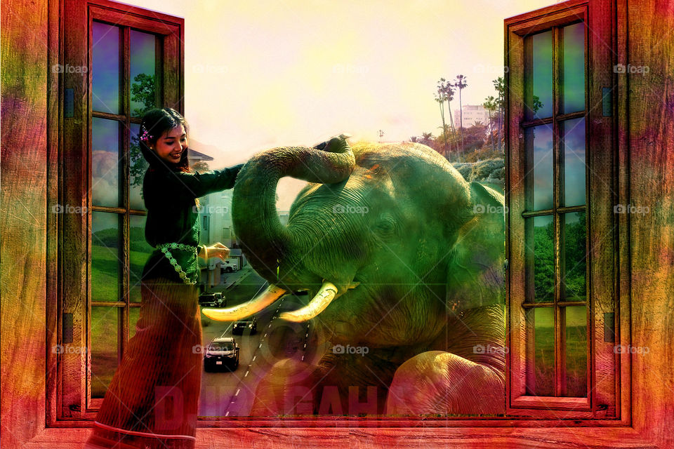 #elephent #girl #window #enviornment #manipulation #ps #adobe #photoshop #edits #3d #designgraphic  #DoubleExposure #effect