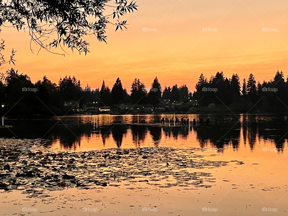 Beautiful orange sunset at the lake