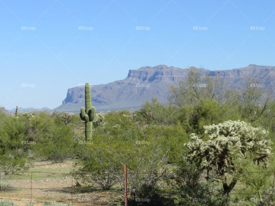 superstition mountains