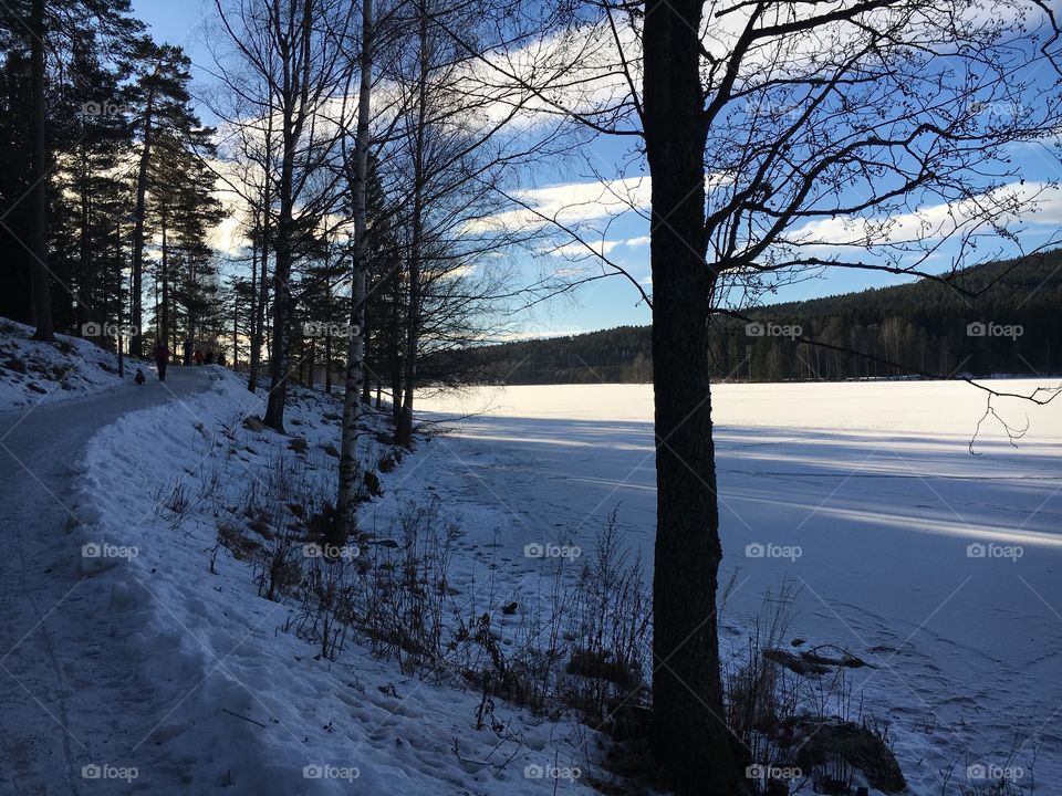 Frozen lake in Oslo 