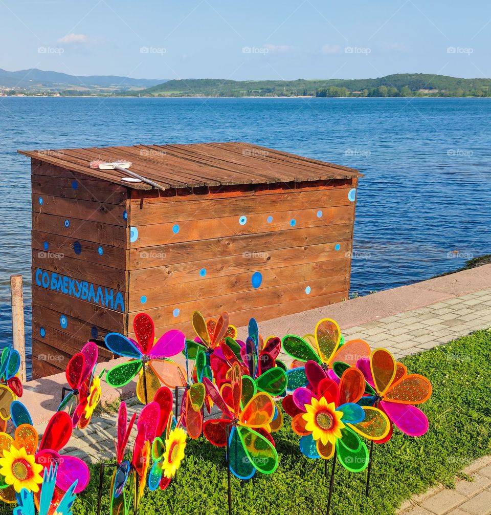 Colorful day on the lake shore