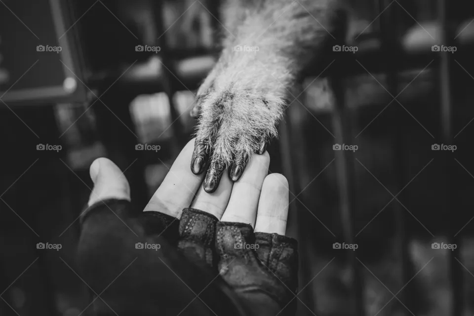 touch