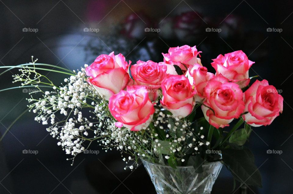 roses flowers in vase