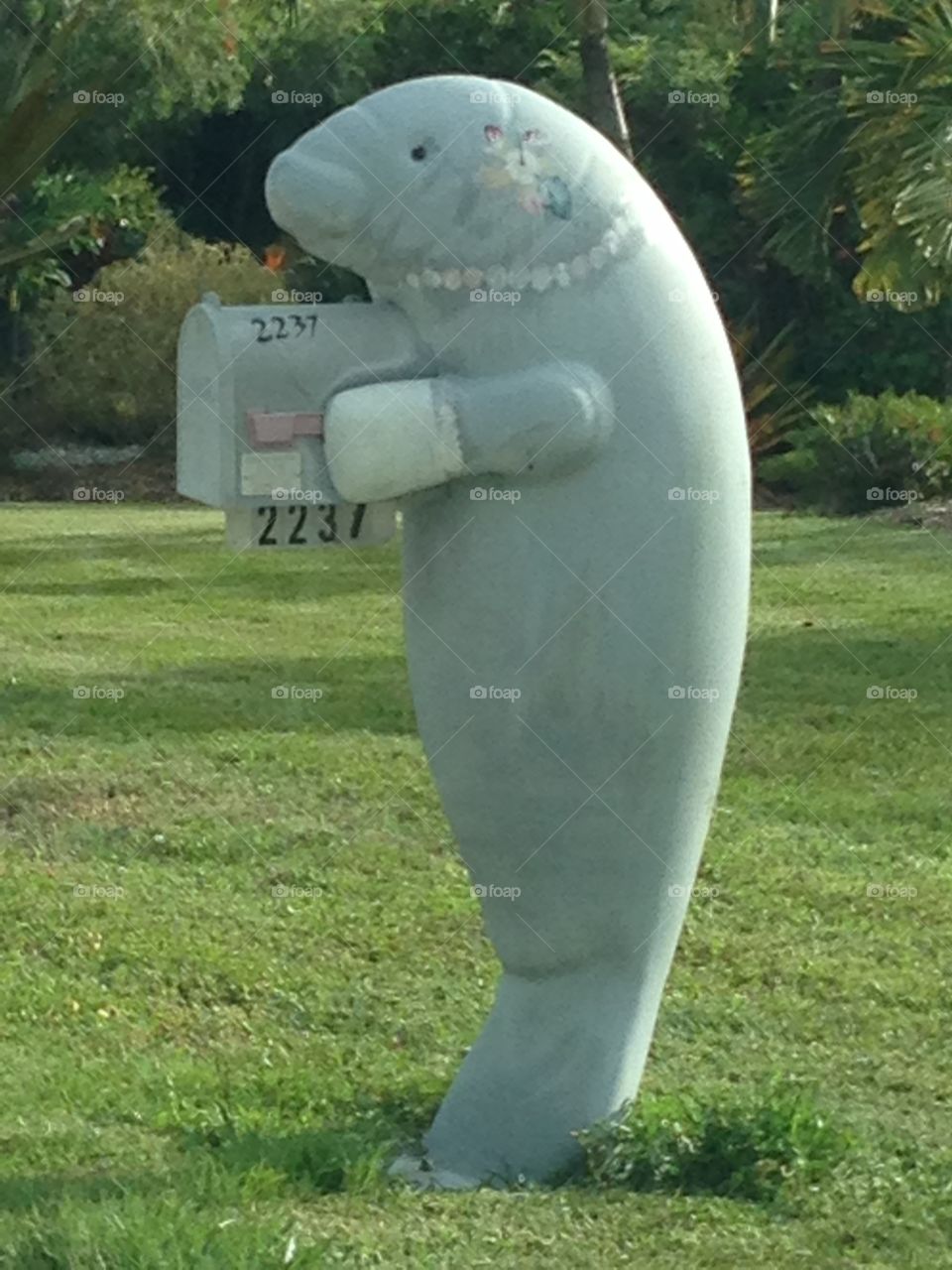 Manatee mailbox