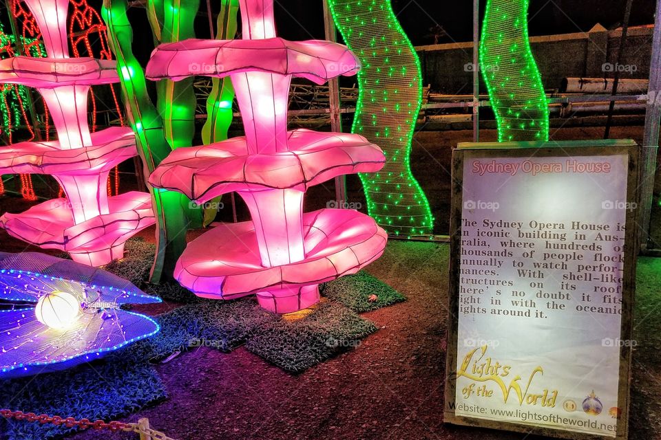 ILLUMINATION of Lights