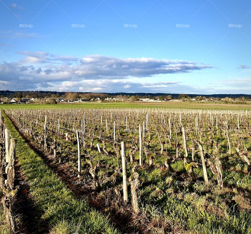 France , countryside Chinon March 2023 . 