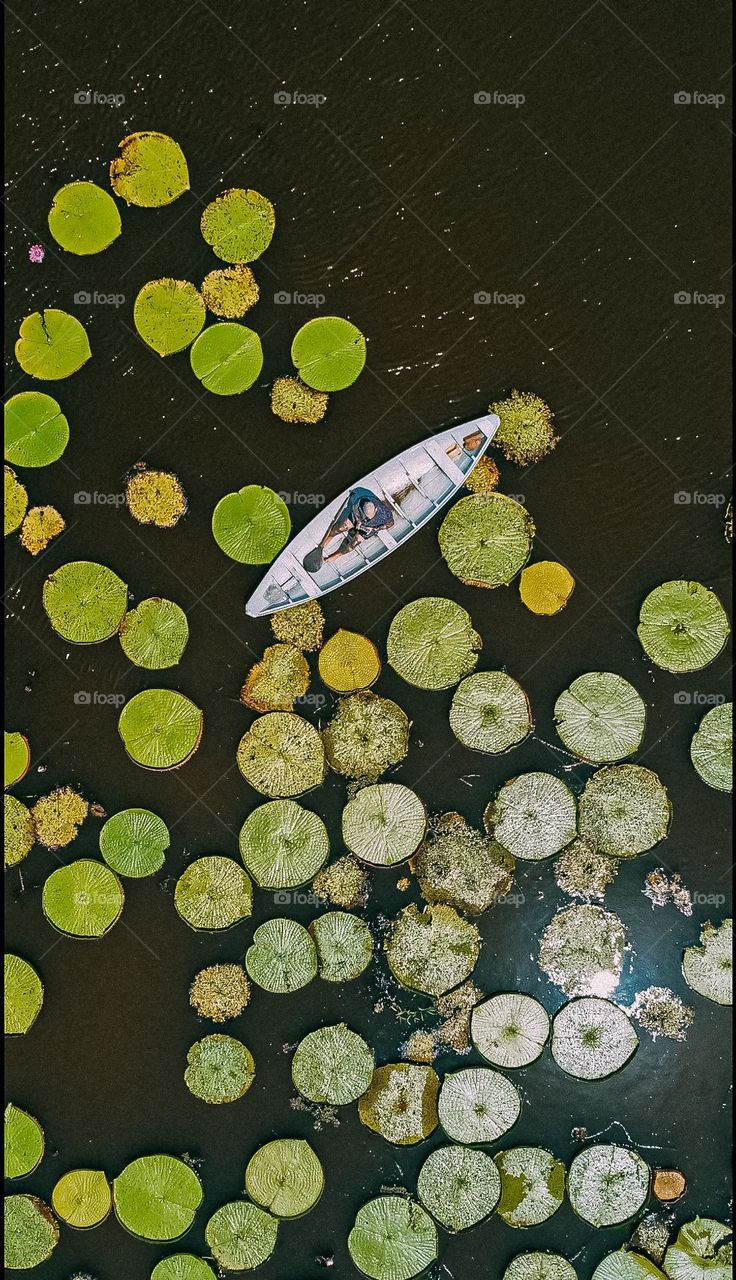 boat in the middle of the river with water lilies
