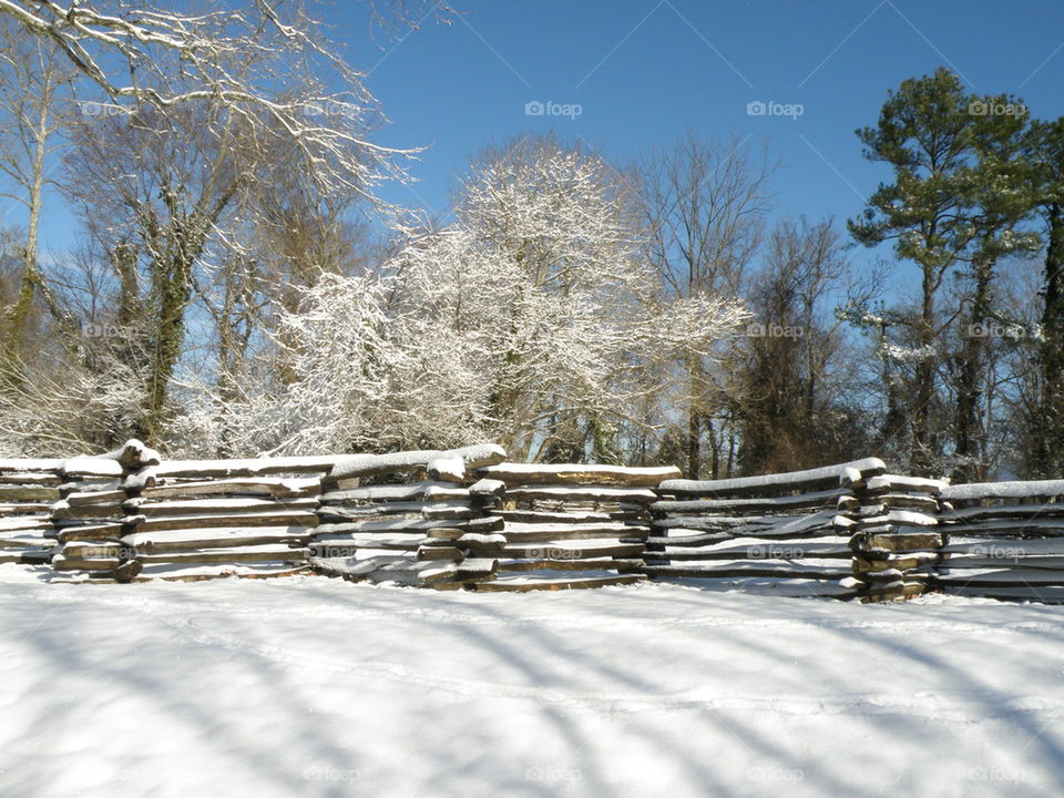 Snow covered fence in winter