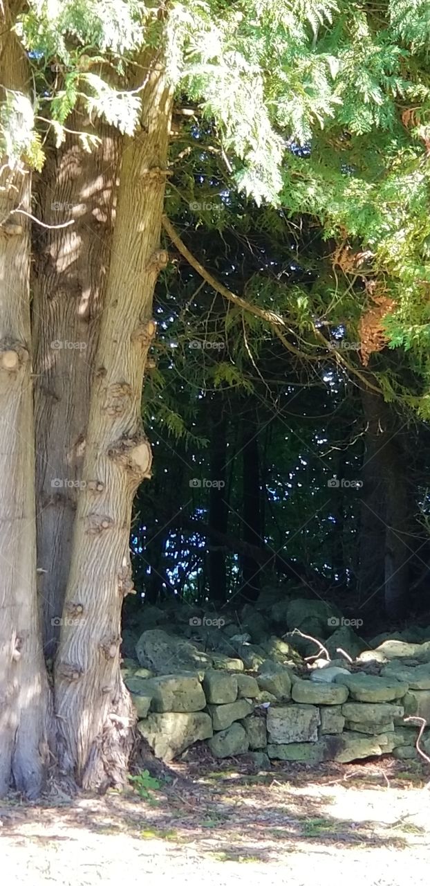 Cana Island, Door County, WI