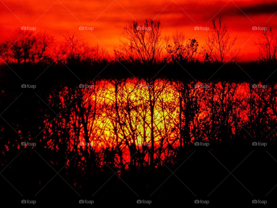 Sunset behind the trees