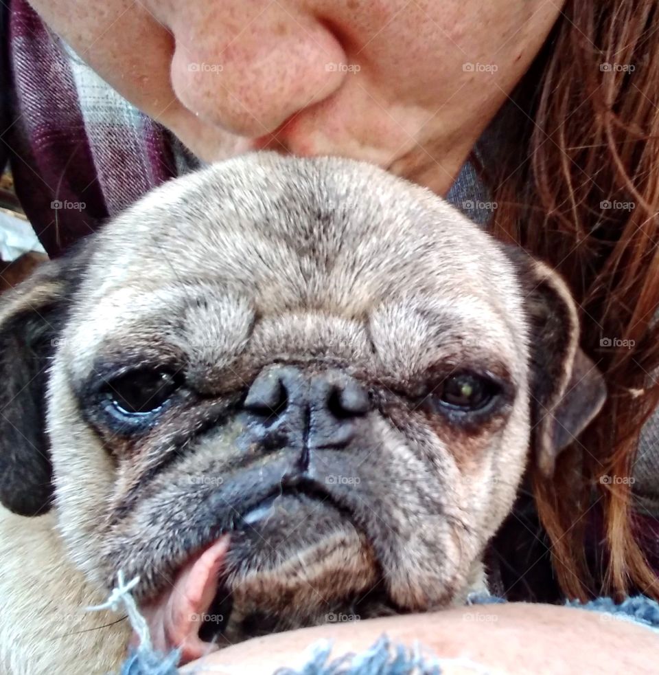 Beautiful young freckle faced girl kissing old pug dog on top of head