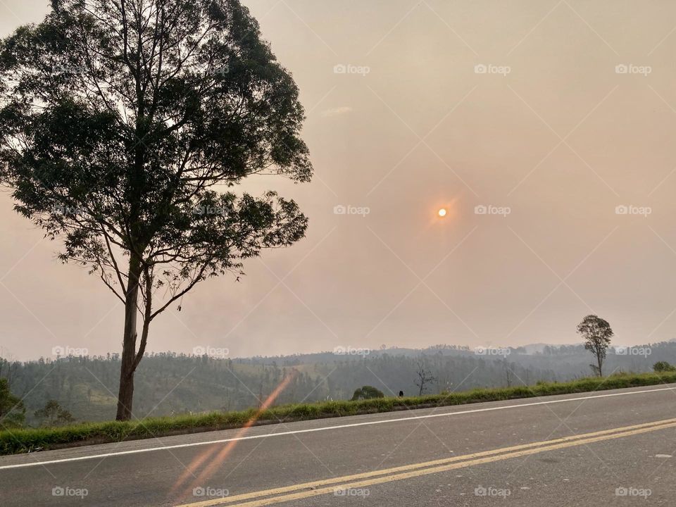 🇺🇸 In Cajamar (Brazil), a sun covered by smoke. And this brownish sky?
We are mistreating nature… / 🇧🇷 Em Cajamar (Brasil), um sol encoberto pela fumaça. E esse céu amarronzado?
Estamos maltratando a natureza…
📸