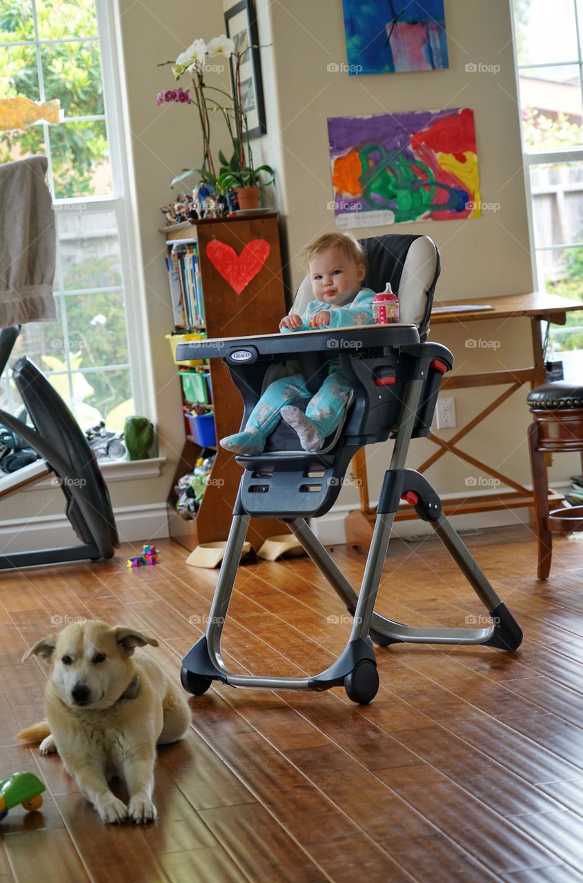 Baby Girl Eating In A High Chair