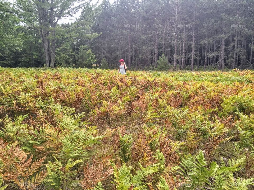 Hiking in northern Michigan 