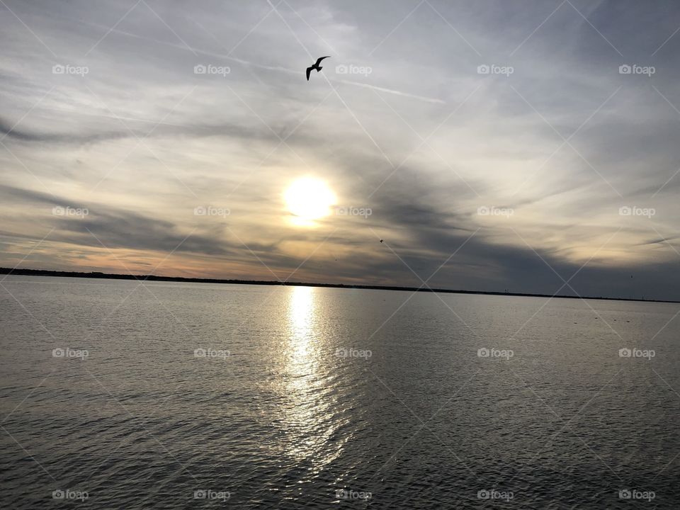 Every lake sunset needs a seagull