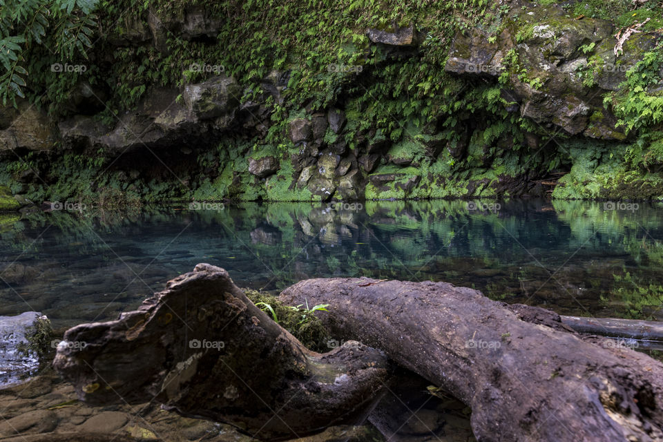 Pozo azul, Sao Miguel, Azores, Portugal.