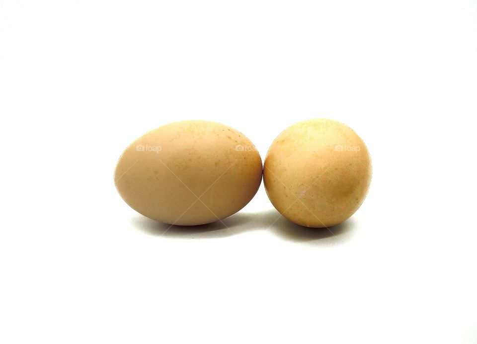 Two chicken eggs