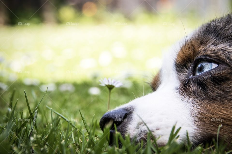A little rest in the sun