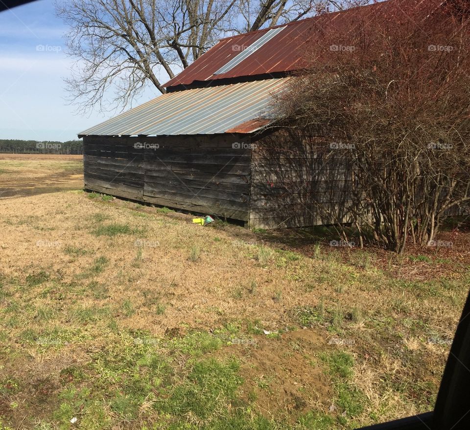 Tobacco Shed in NC