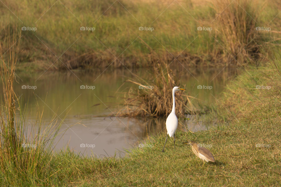 Nature is so beautifull capture it because every moment nature is changed