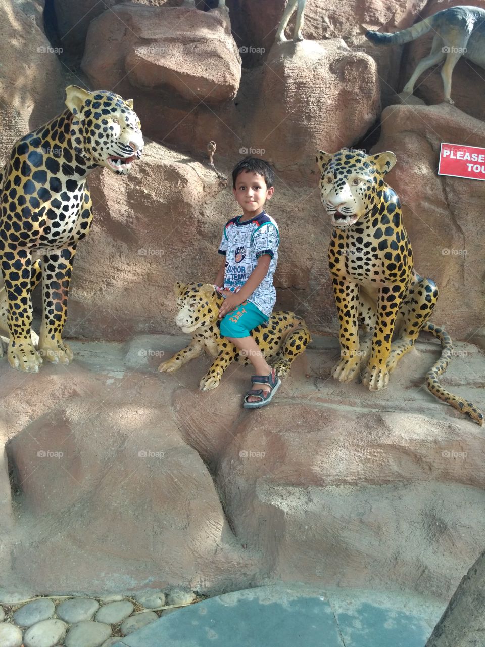 Playing with cheetah