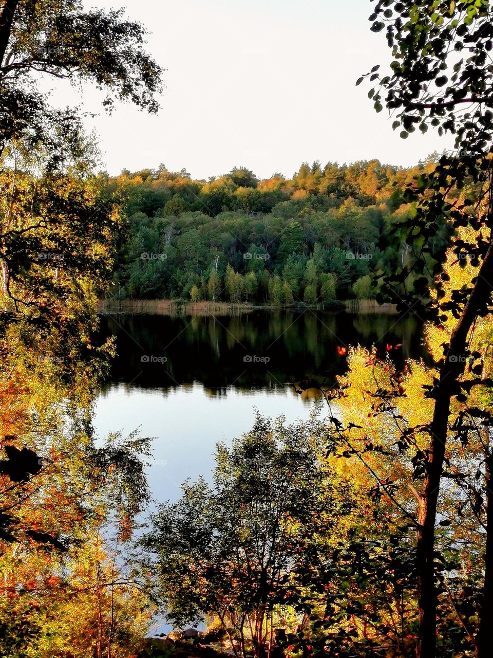 Lake view in autumn