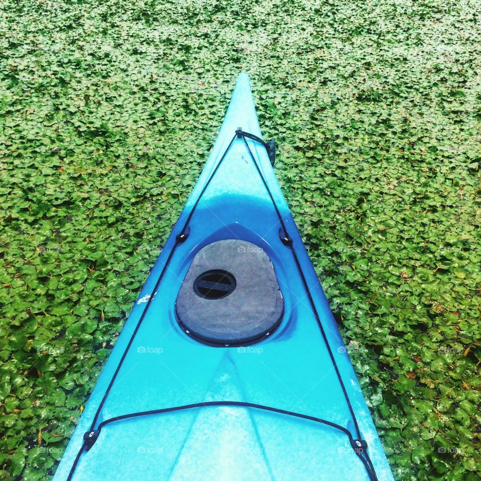 Dill Weed Boat. Kayaking through New Hampshire when suddenly surrounded by a sea of dill weed. 