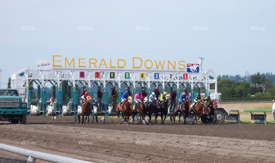 emerald downs. a day at the races!