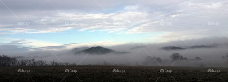 Country Fog
