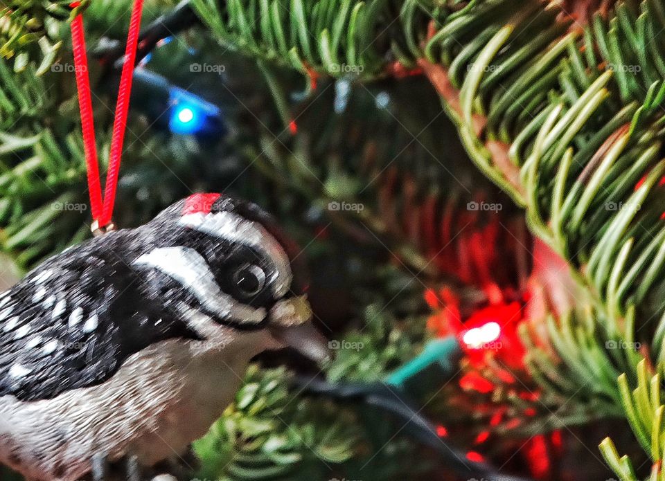 Bird Christmas Ornament
