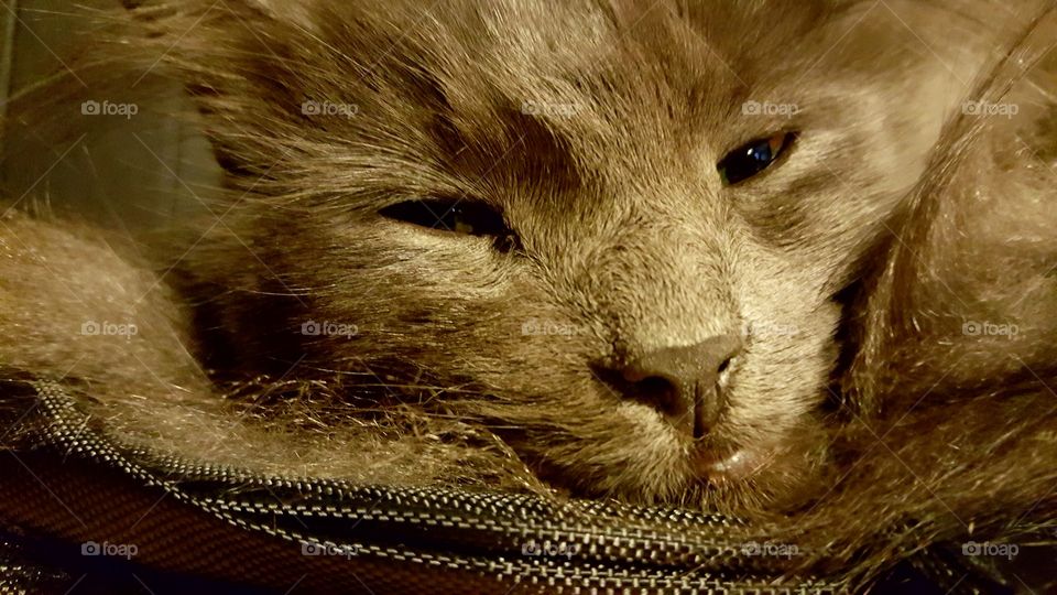 Beautiful macro shots