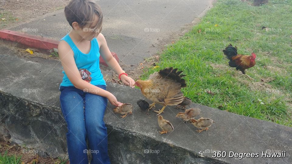 Nature, Bird, Poultry, Child, Outdoors