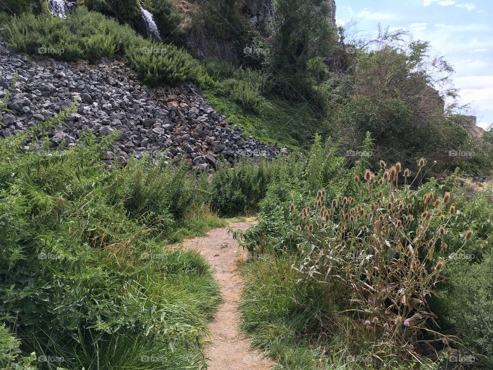 Path through the grass.