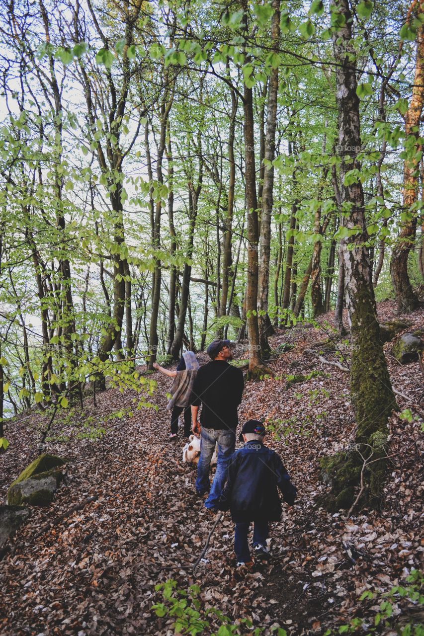 Family walking in the woods