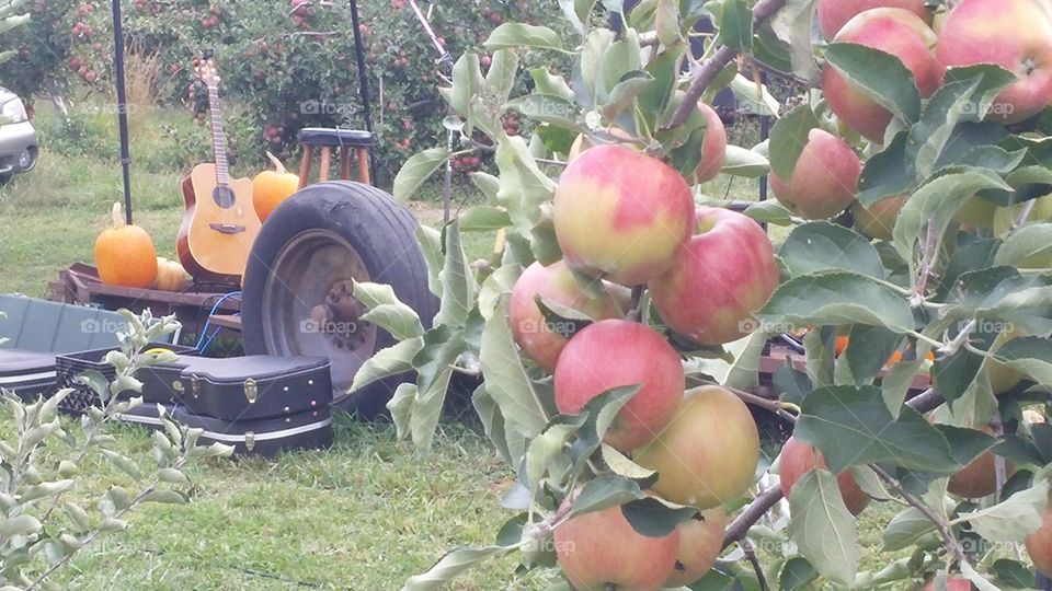 the grand stage. at the orchard before the band