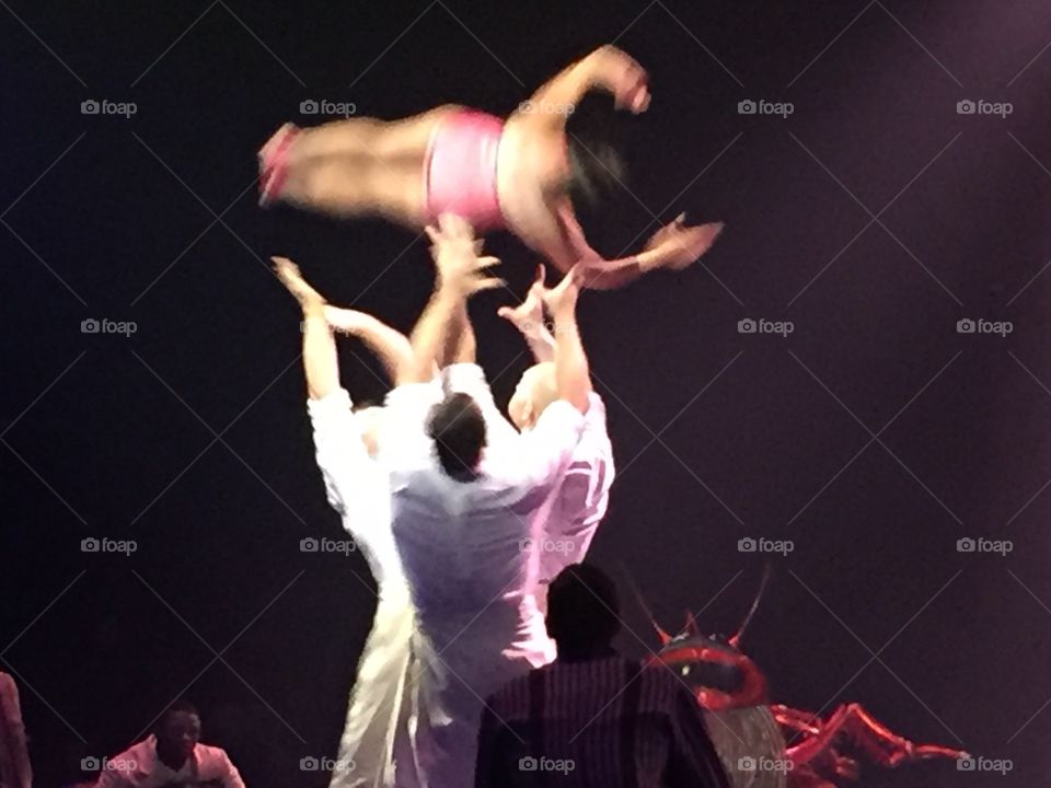 Action of cirque, SF, 2016
