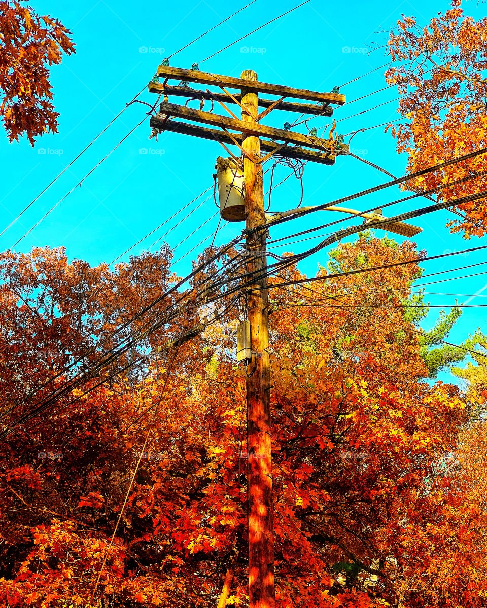 Electric Post in Fall 