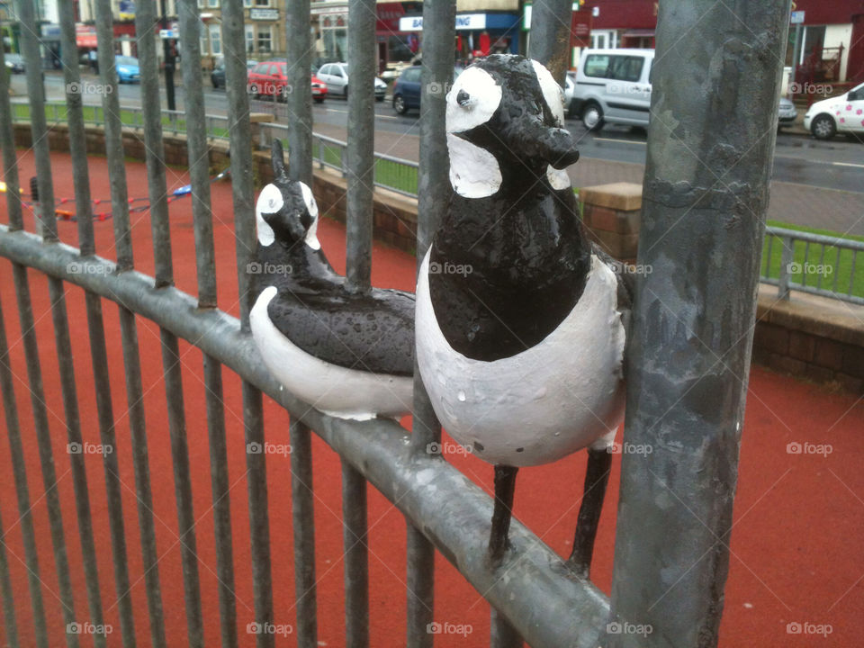fence united kingdom birds sculpture by gregmanchester