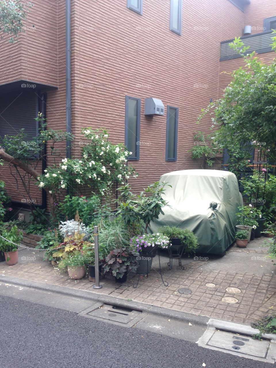 Japanese Street Photography