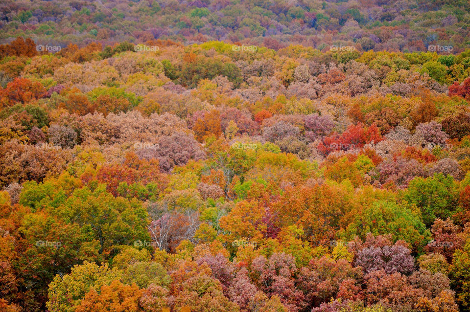 nashville indiana by refocusphoto